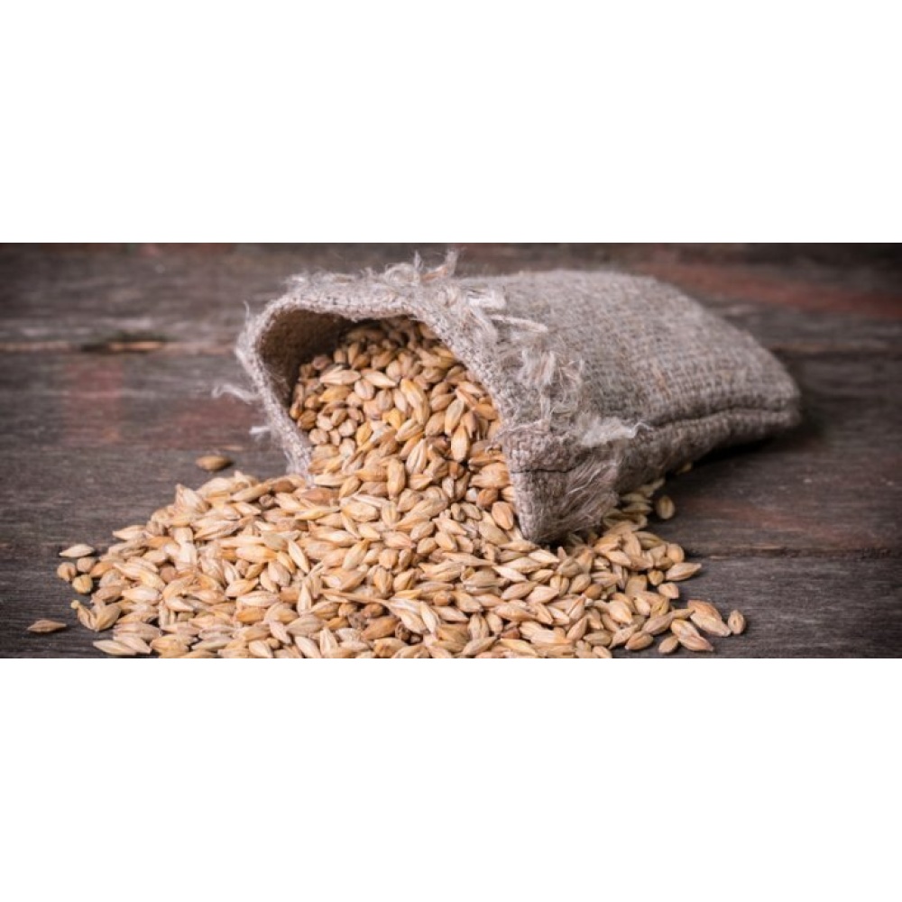 Azienda Agricola Rosa Ciarrocca - Orzo - immagine 3