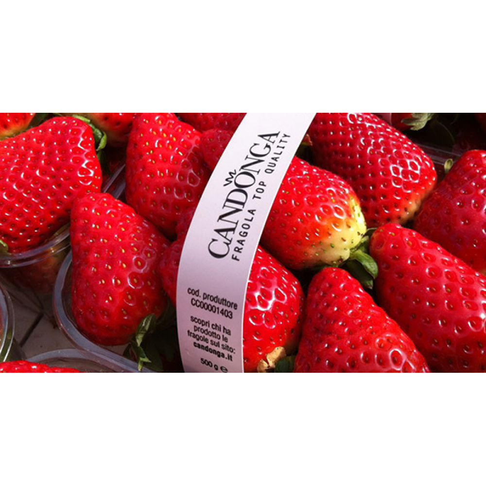 "OFFIDIUS"CONFETTURA EXTRA DI FRAGOLA SABROSA - immagine 2