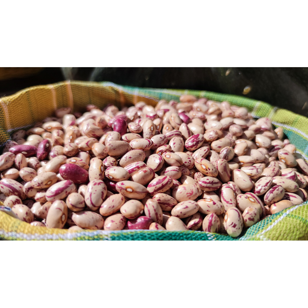 Azienda Agricola Rosa Ciarrocca - Fagioli - immagine 3