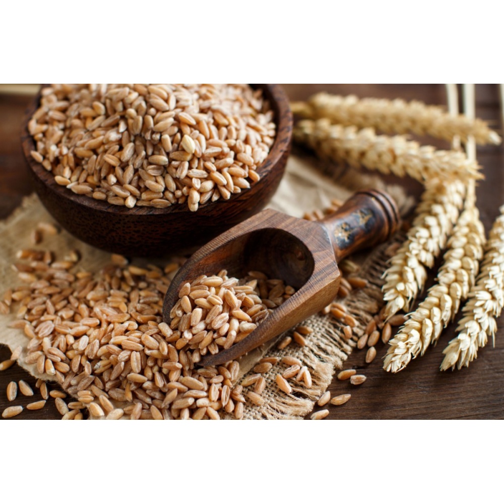 Azienda Agricola Rosa Ciarrocca - Farro - immagine 3