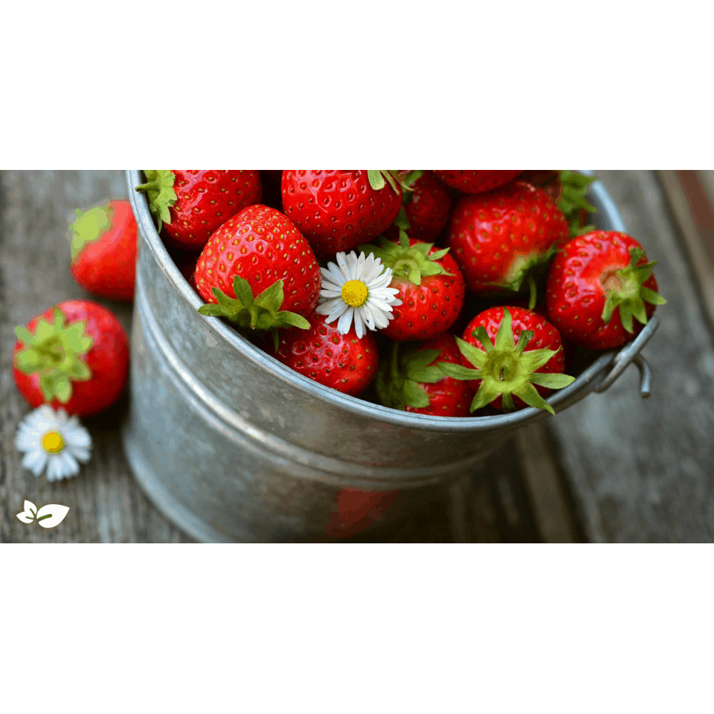 "OFFIDIUS"CONFETTURA EXTRA DI FRAGOLA SABROSA - immagine 3