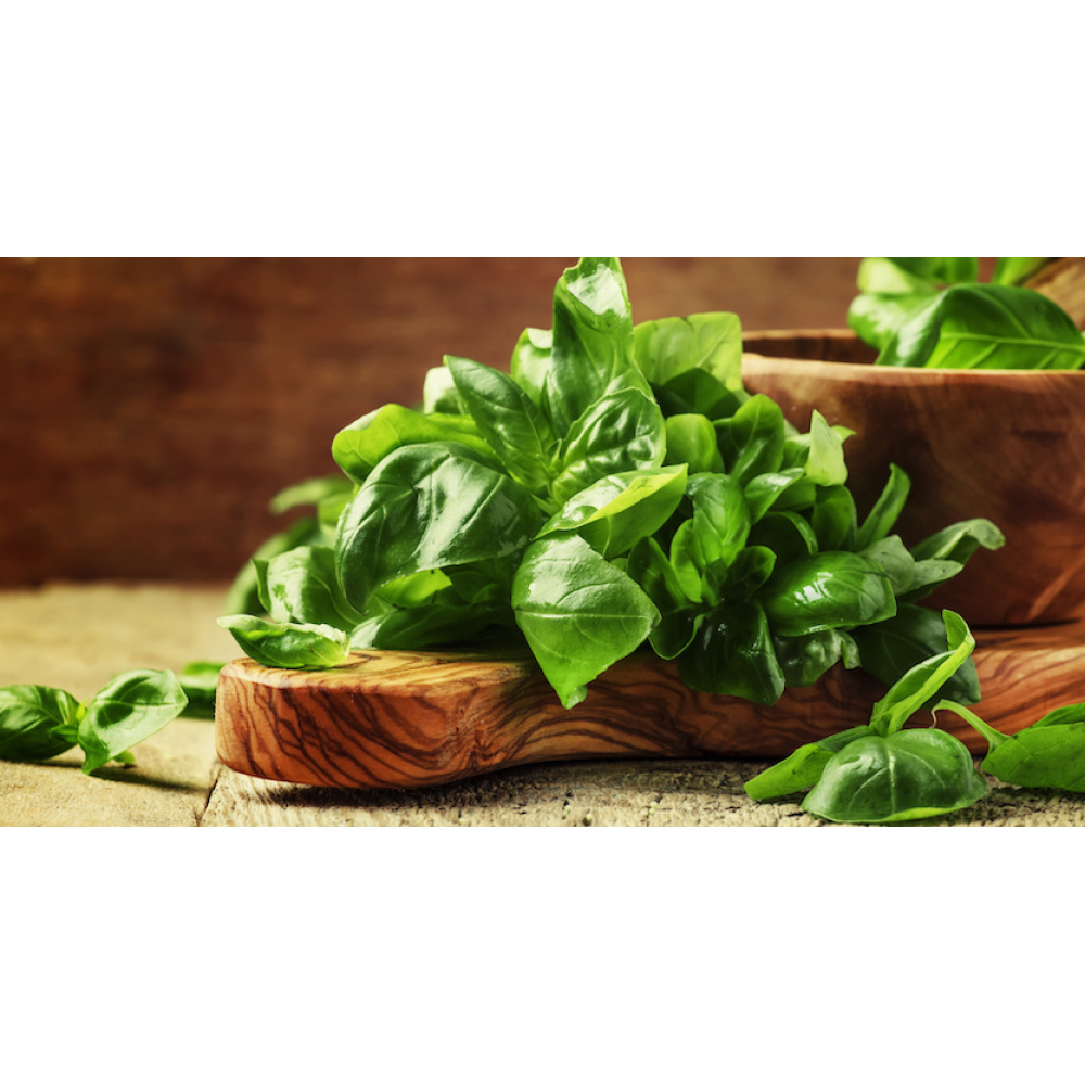 "URSINI" PESTO SENZA AGLIO - immagine 3