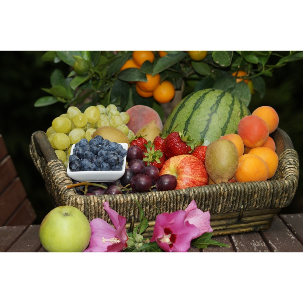 "OFFIDIUS"CONFETTURA FRUIT LOUNGE - immagine 2