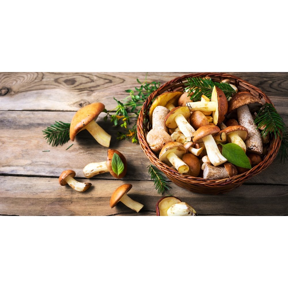 "URSINI" SUGO AI FUNGHI PORCINI - immagine 6