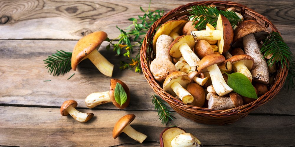 "URSINI" PESTATO TARTUFUNGHI - immagine 2