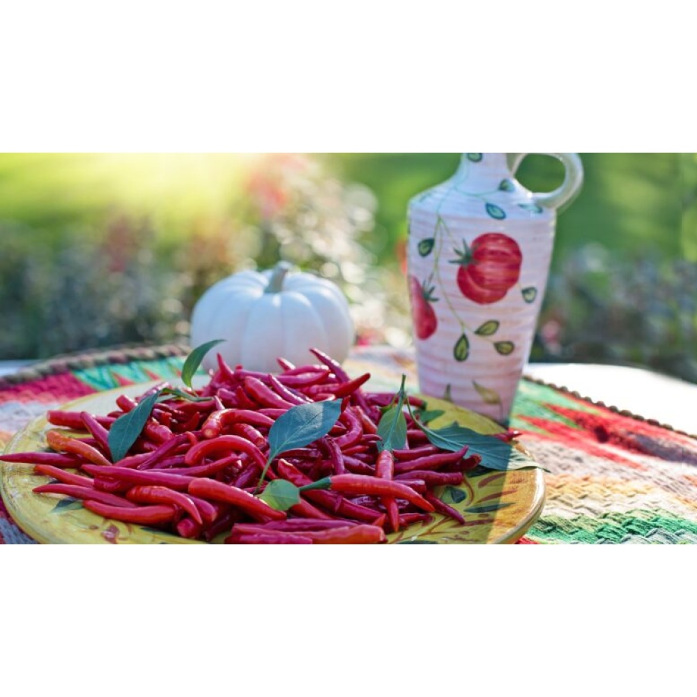 Luca Finocchio-Mieraviglie Peperoncino - immagine 5
