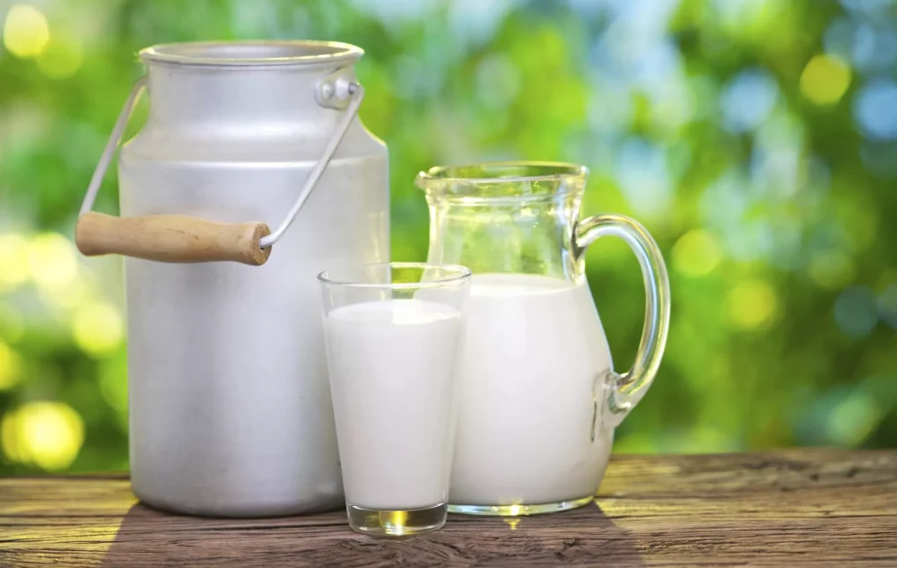 LA COLLINA-BISCOTTI DA LATTE ARTIGIANALI 450 GR. - immagine 8