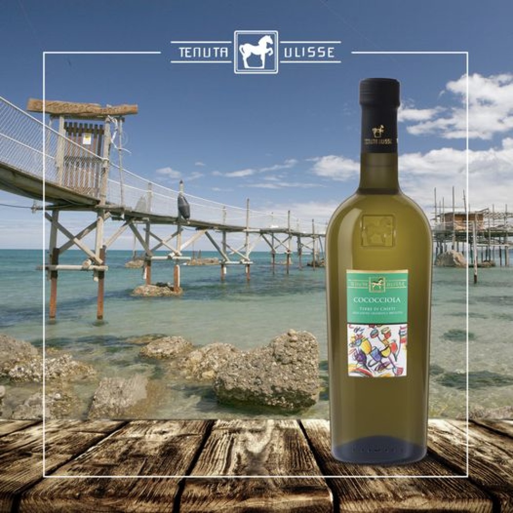 Azienda agraria Matergia-Zafferano dell'Aquila DOP gr.1 - immagine 10