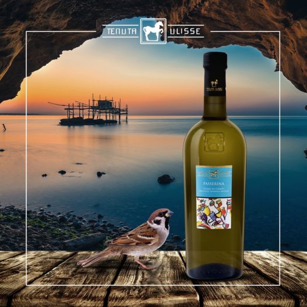Tenuta Ulisse-Passerina IGP - immagine 2