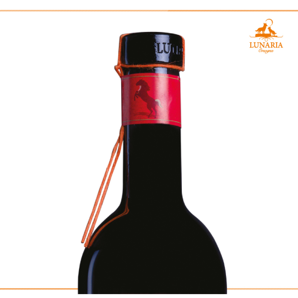 Bio Cantina Orsogna-Lunaria Bucefalo rosso vino da uve appassite - immagine 2