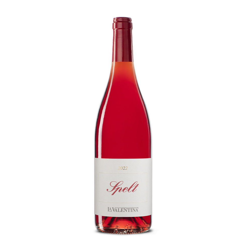 Azienda Agricola Rosa Ciarrocca - Fagioli Bianchi - immagine 6