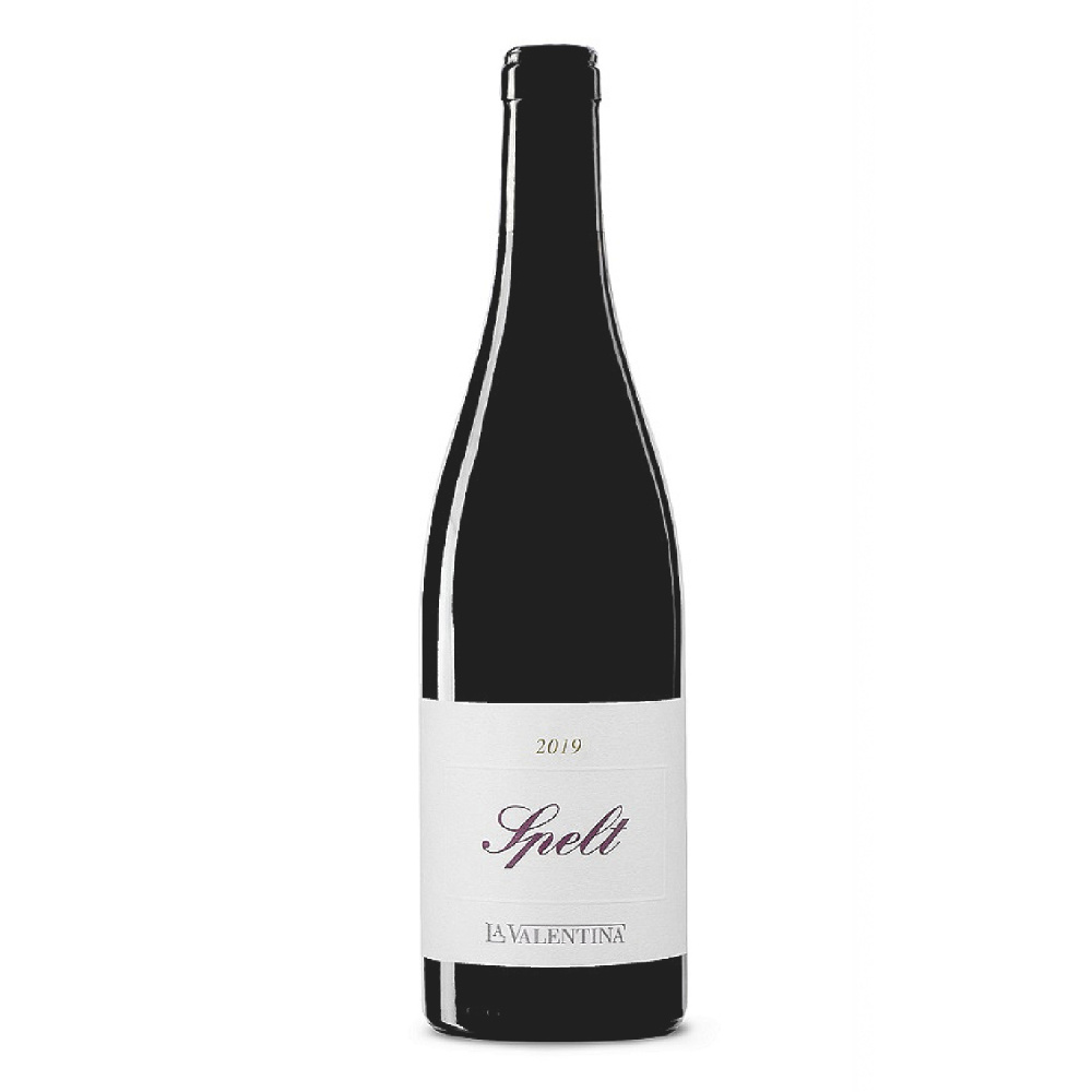 Cuore Nero D'Abruzzo-Salsa Cacio Pepe e Tartufo Nero Estivo - immagine 9
