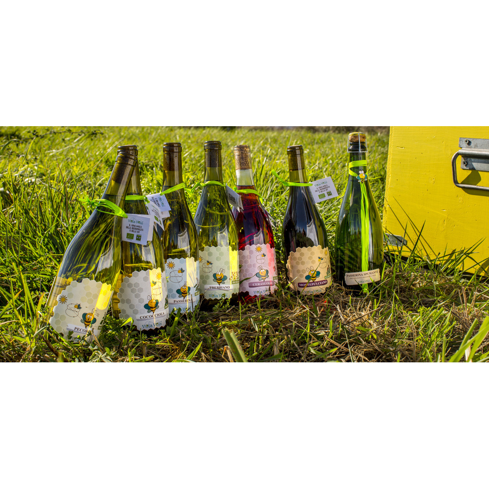 Silvia Rosa azienda agricola-Zafferano dell'Aquila 0,5 gr. - immagine 9