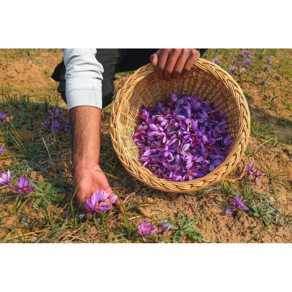 Azienda agraria Matergia-Zafferano dell'Aquila DOP 0,5g - immagine 4