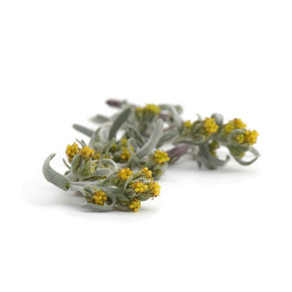 Artemisia-Genepì Liquore cl.50 - immagine 2