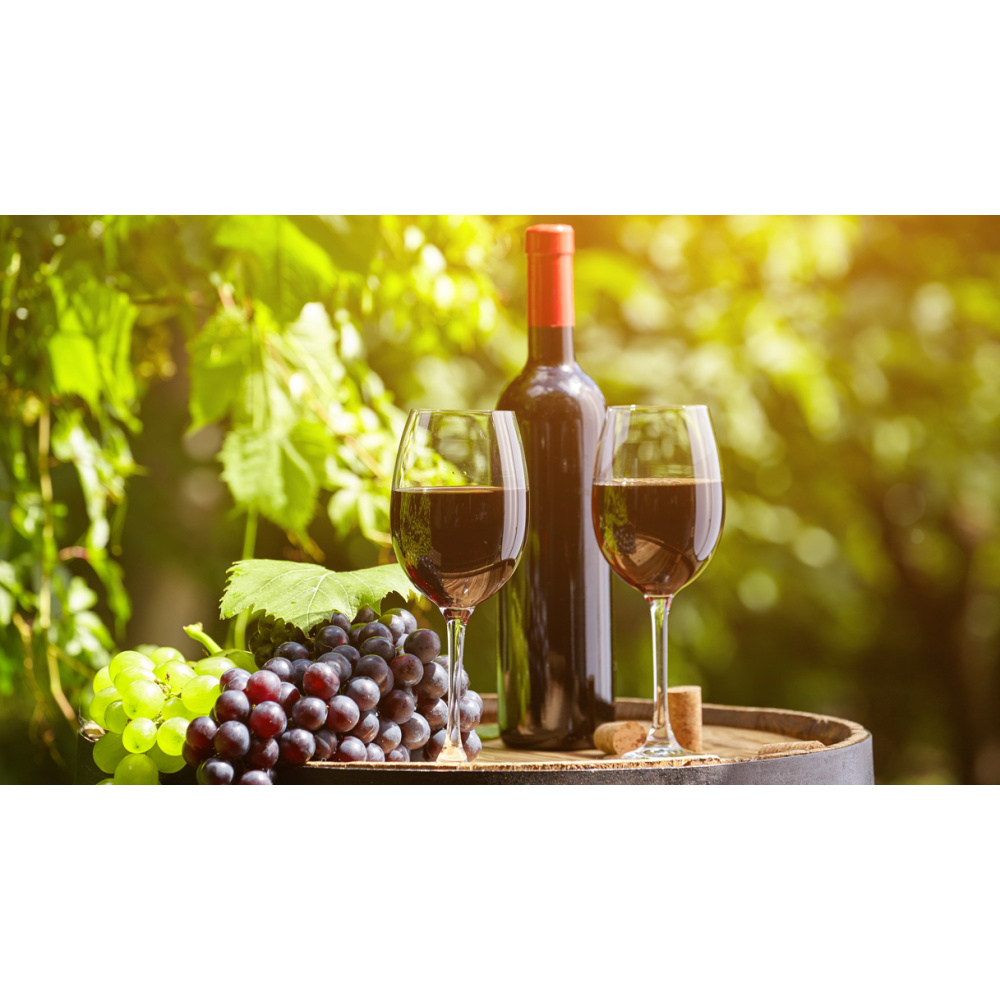 Terra D'Aligi-Montepulciano D'Abruzzo DOC - immagine 4