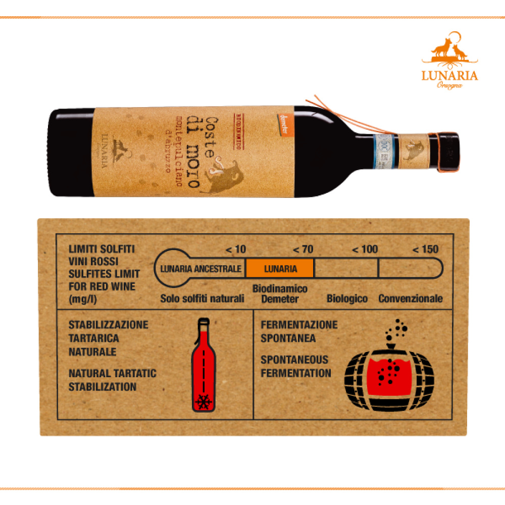 Bio Cantina Orsogna-Lunaria Coste di Moro montepulciano d’abruzzo DOP RISERVA - immagine 3