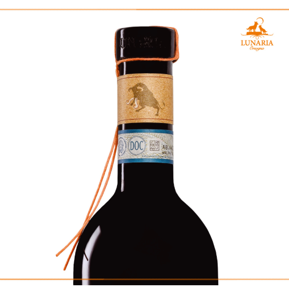 Bio Cantina Orsogna-Lunaria Coste di Moro montepulciano d’abruzzo DOP RISERVA - immagine 2