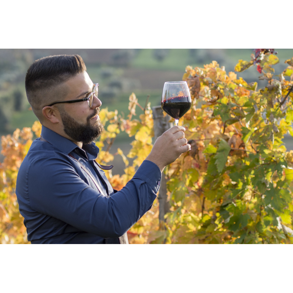 Massetti Francesco Montepulciano Selezione Luigi 2017 - immagine 2