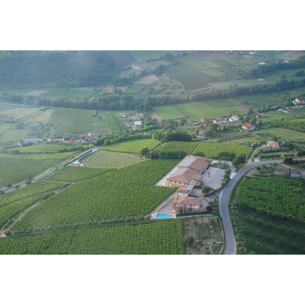AgriCosimo-Villamagna DOC Riserva - immagine 3