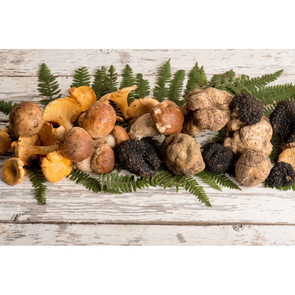 La Spora-Crema di porcini con tartufo bianco - immagine 6