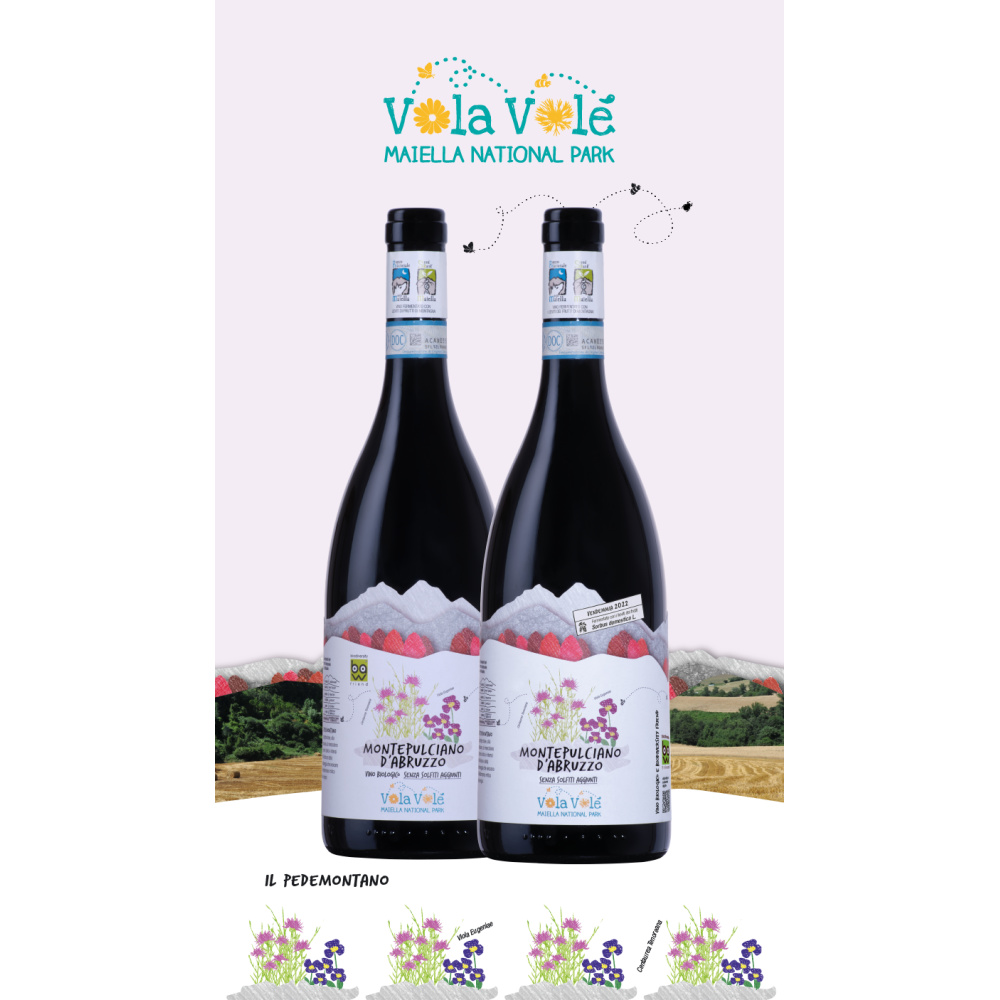 Bio Cantina Orsogna-Montepulciano d’Abruzzo DOP Maiella National Park